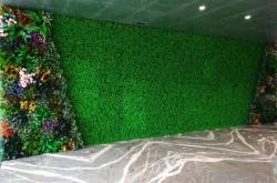 竞猜-特夫摩尔球场草皮维护技(jì)术(国際(jì)足球场草坪养护方案及措施)