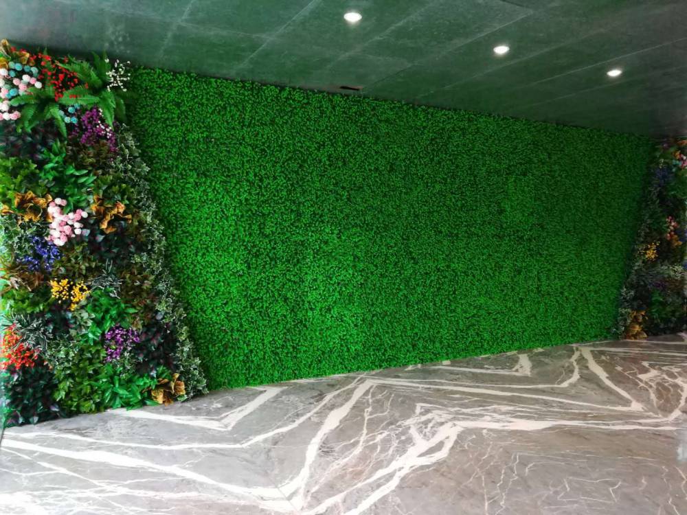 特夫摩尔球场草皮维护技术(国际足球场草坪养护方案及措施)