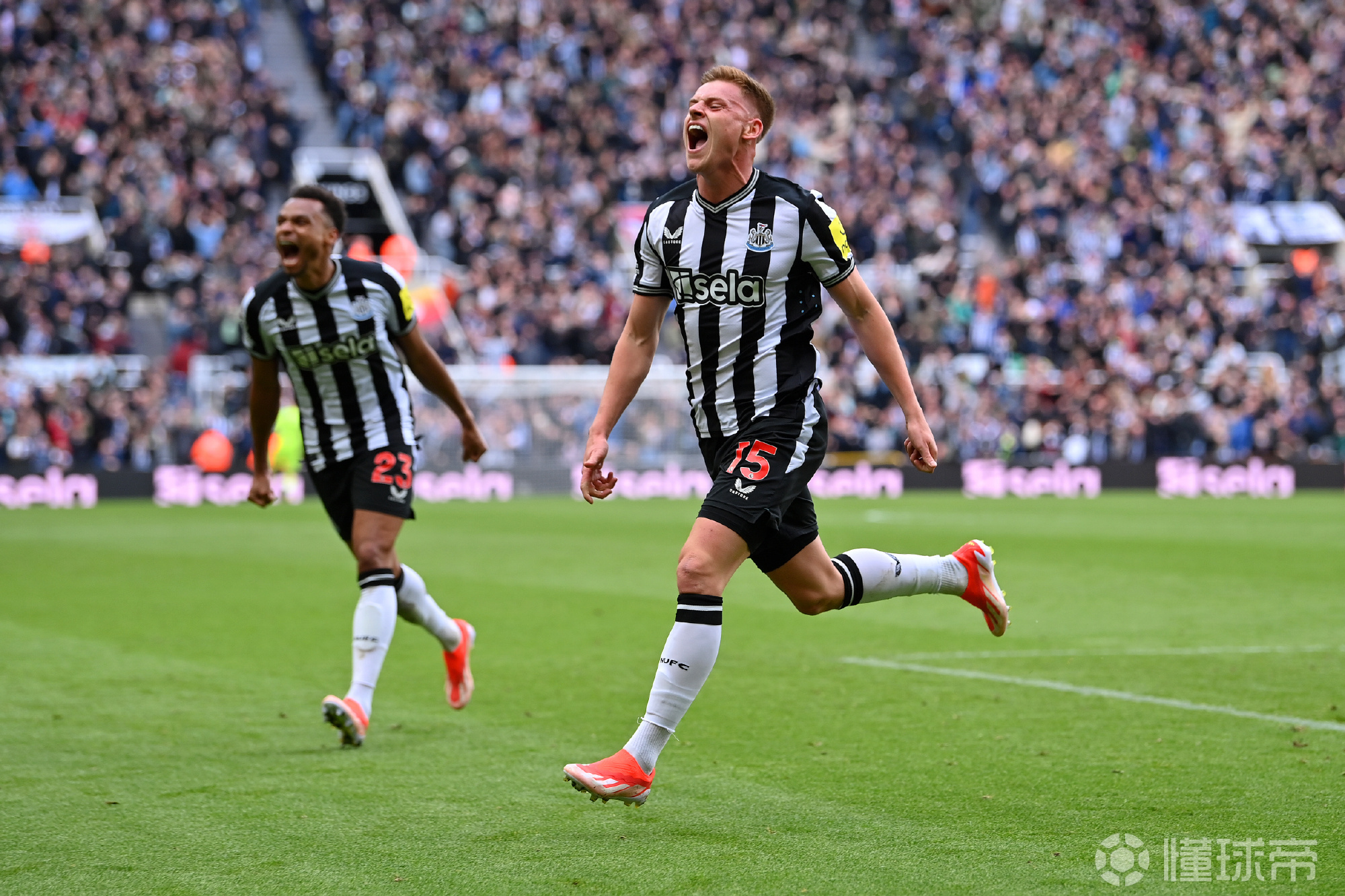 纽卡斯尔Sela赞助金额(俄罗斯sela服装品牌官网)