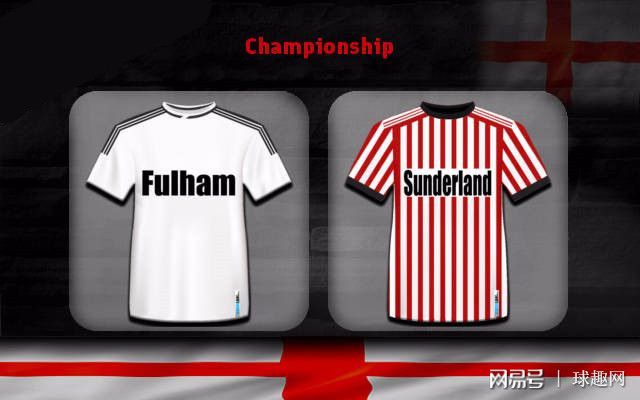 桑德兰vs曼城近10次交锋进球数(曼城 桑德勒)